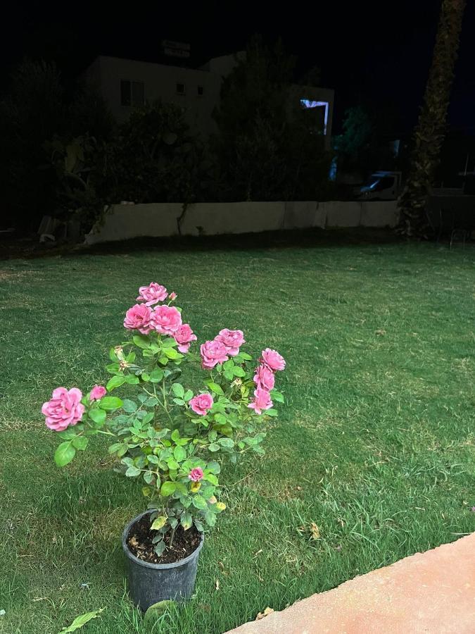 Asimado Hotel Antalya Eksteriør billede